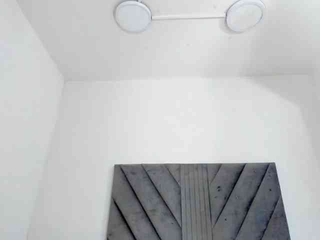Meiiryn webcam