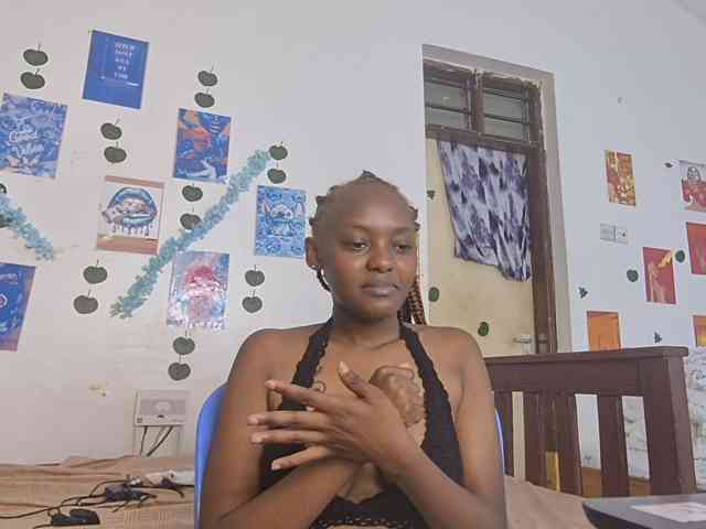 Ariadne- webcam