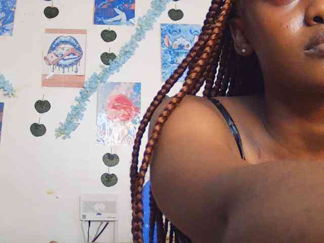 Ariadne- webcam