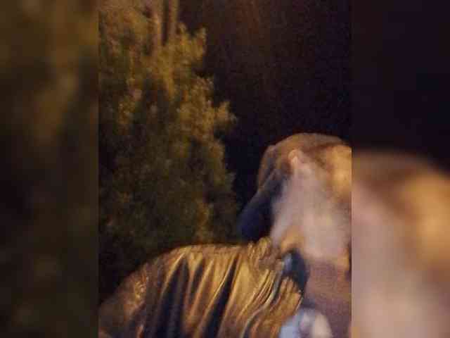 Jossss