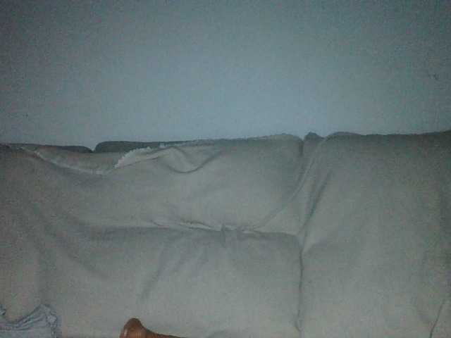 Viciosillaa