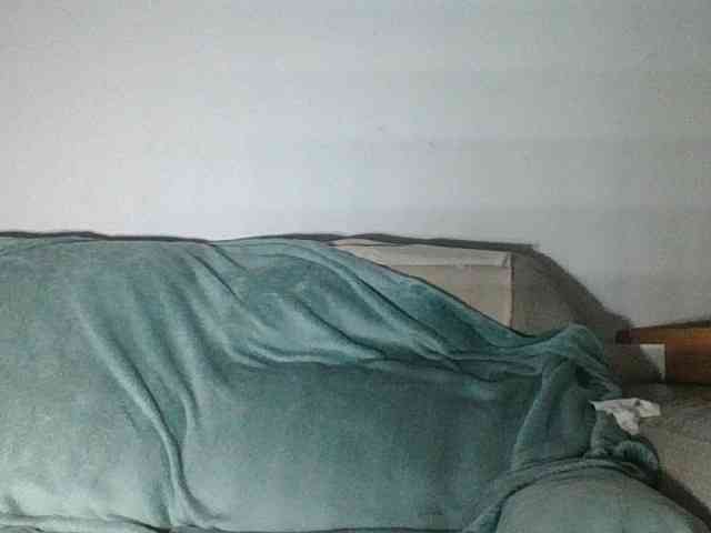 Viciosillaa webcam