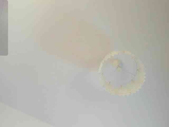 SophiaNoir webcam