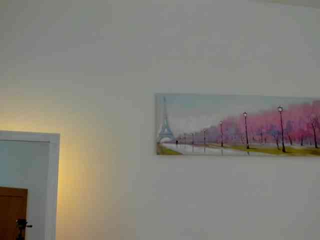 SophiaNoir webcam