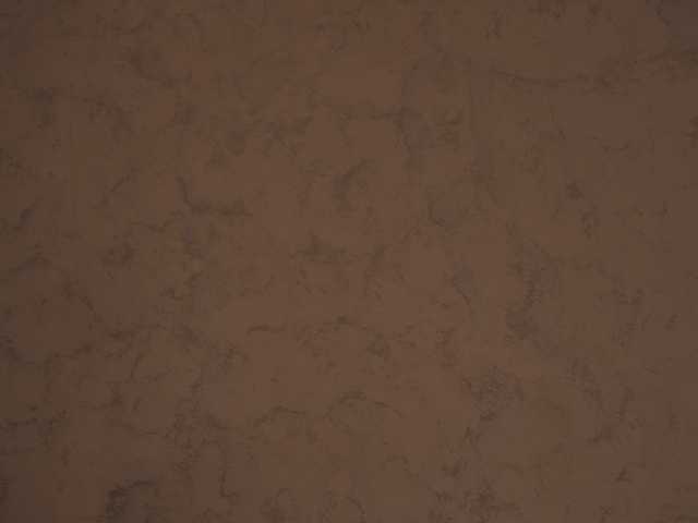 celineivory live cam on BongaCams