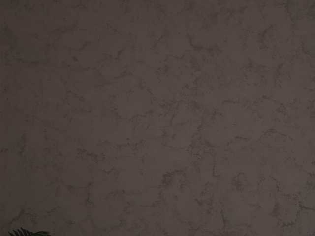 celineivory live cam on BongaCams