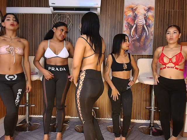 Canelasquirtxxx1