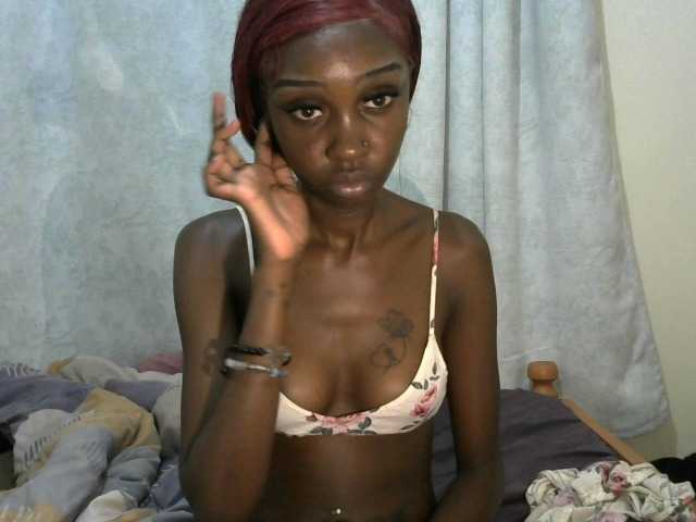 velvetshammy live cam on BongaCams