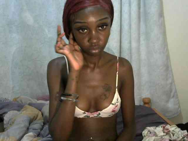 velvetshammy webcam
