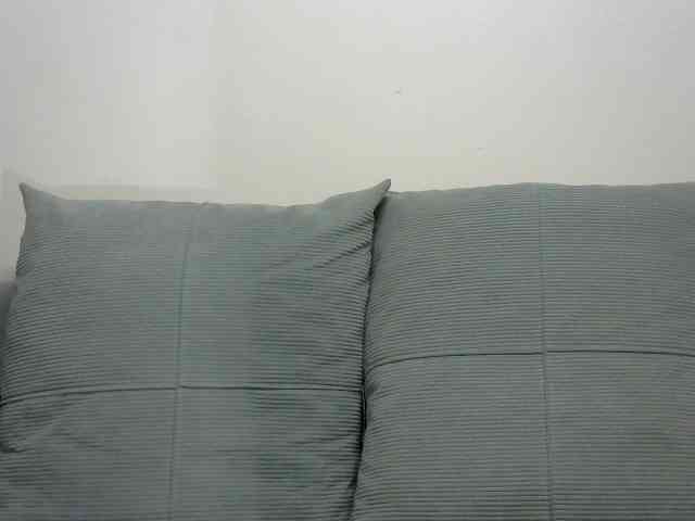 velvetshammy webcam