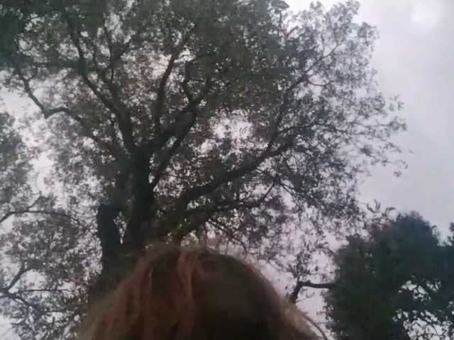 RedieLye