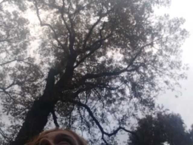 RedieLye