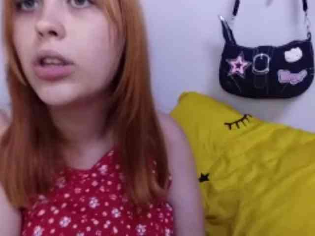 RedieLye webcam