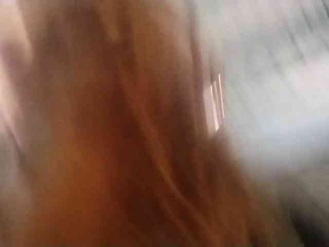 RedieLye webcam