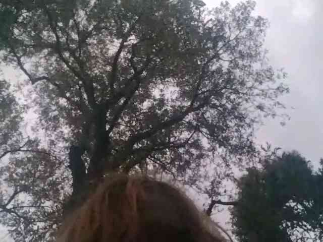 RedieLye RedieLye