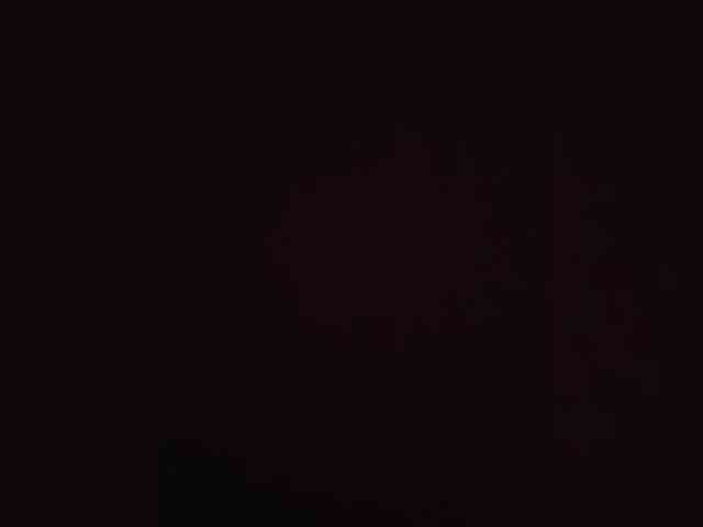 WetLlyps1 webcam