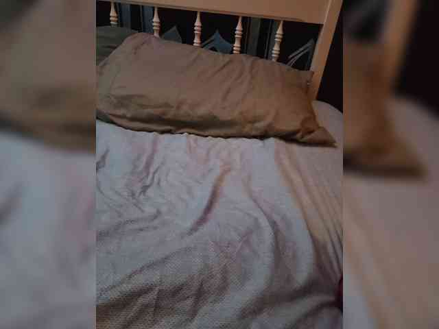 WetLlyps1 webcam