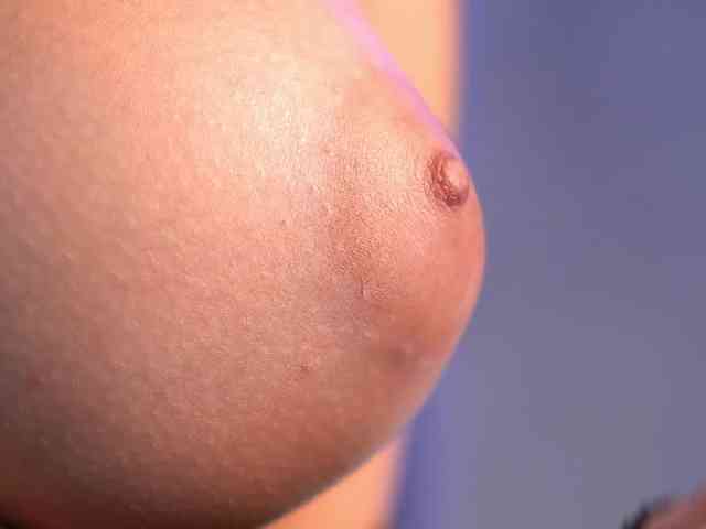 NinaSolle