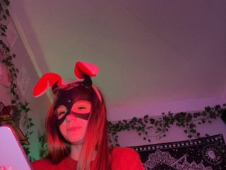-bunny-