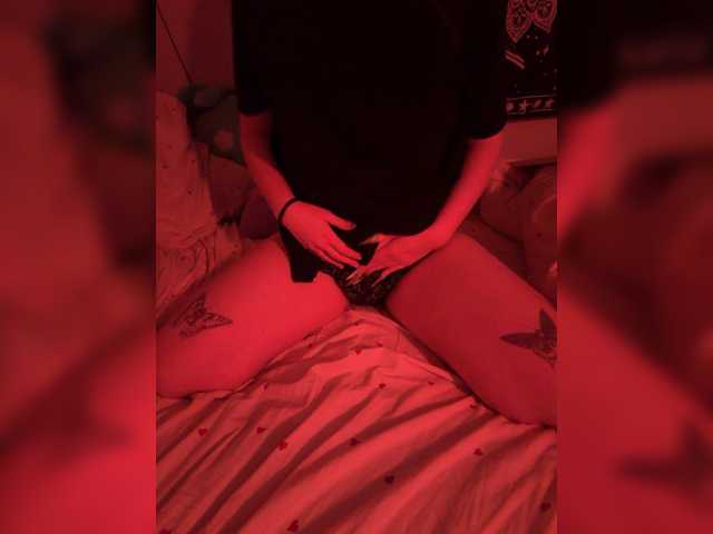 -bunny-