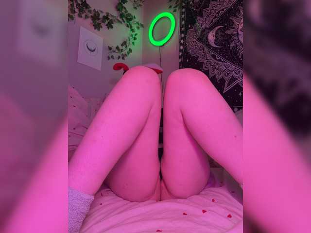 -bunny-