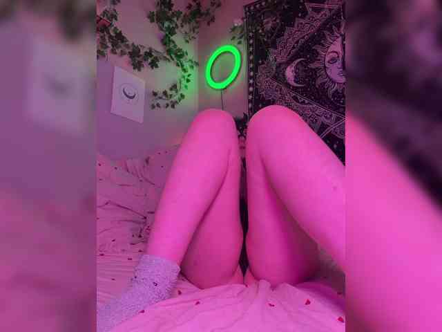 -bunny-