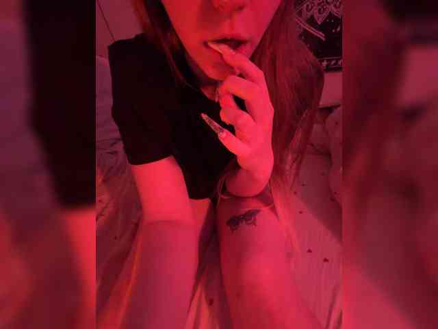 -bunny-