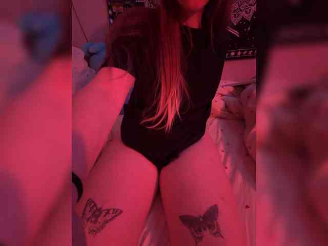 -bunny- webcam