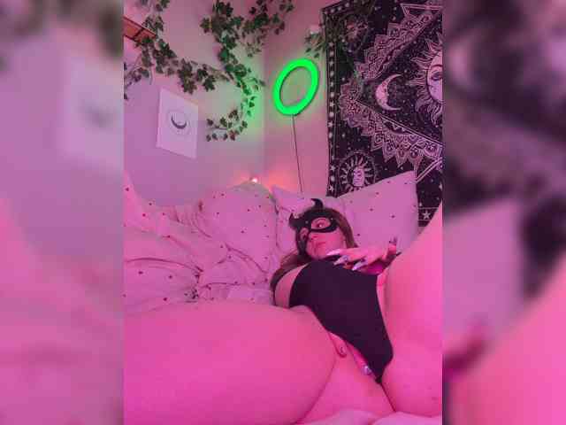 -bunny- webcam