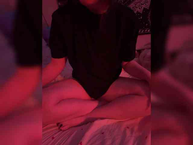 -bunny-