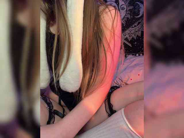 -bunny-