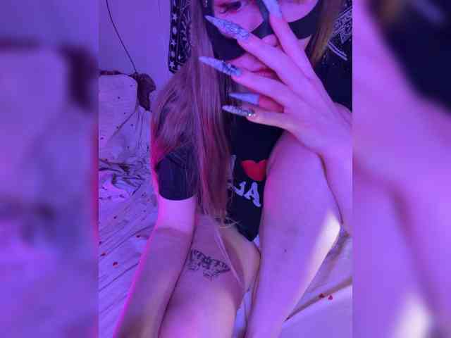 -bunny-