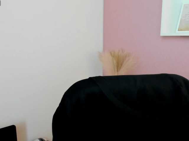 LilyBlush