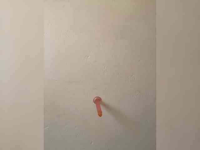 Sexysassy11 webcam