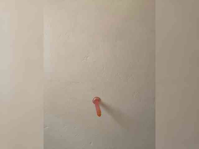 Sexysassy11 webcam