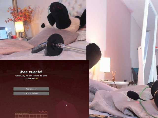 CyberLucy webcam