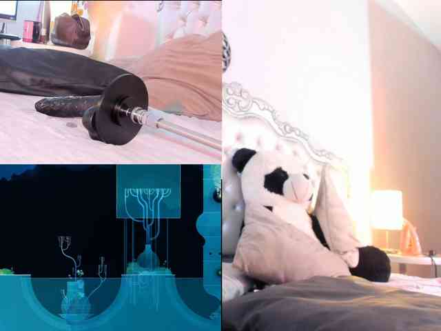 CyberLucy webcam