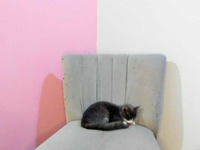 CarolinaSweet live cam on BongaCams