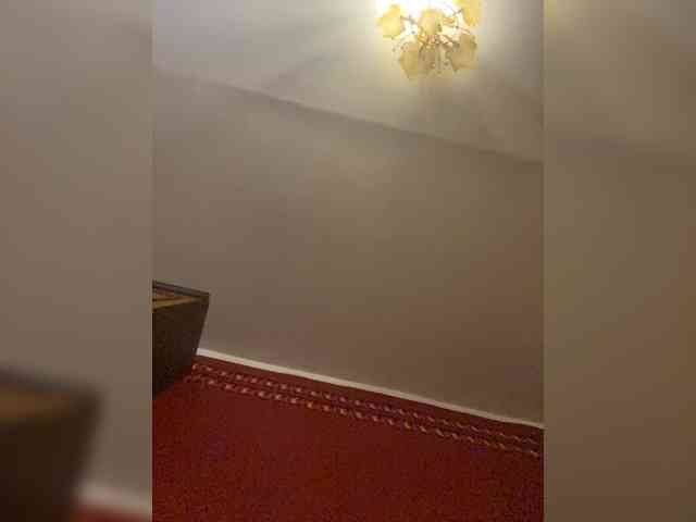 Nikolasnisedig Nikolasnisedig