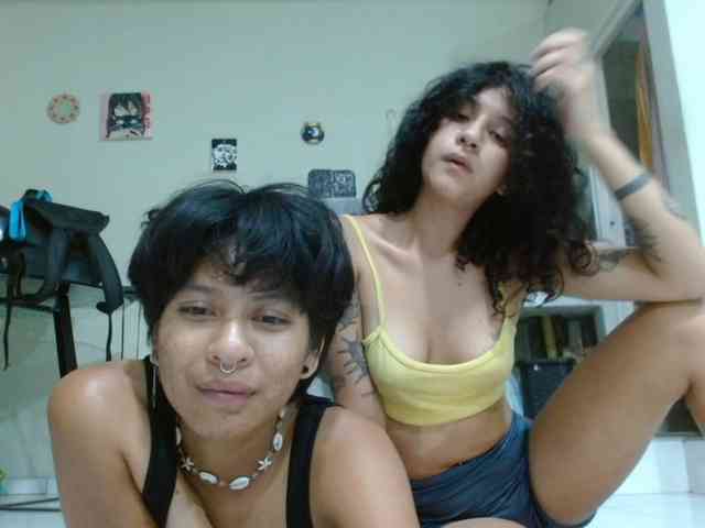 FamilyWoolf webcam