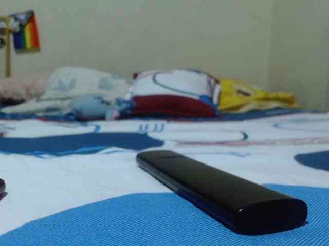 FamilyWoolf webcam