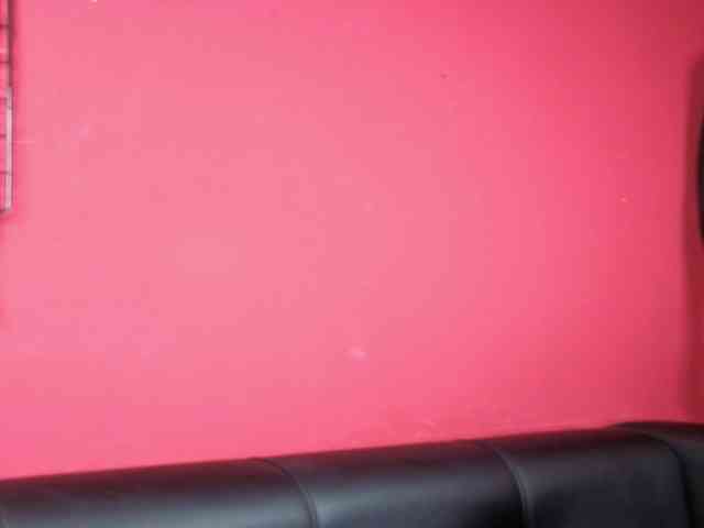 ShadowBellee webcam