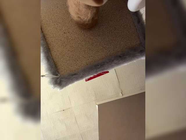 AmmyAlexInPublic