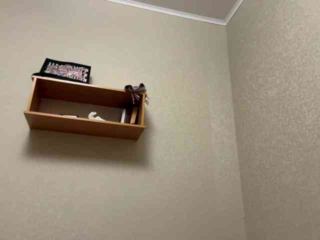 IrishStifter webcam