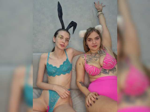 -kittens-