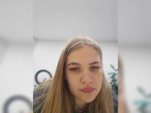 -kittens- live cam preview