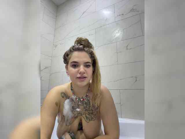 -kittens-