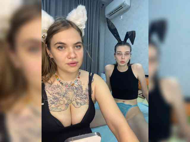-kittens- webcam