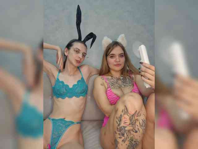 -kittens-