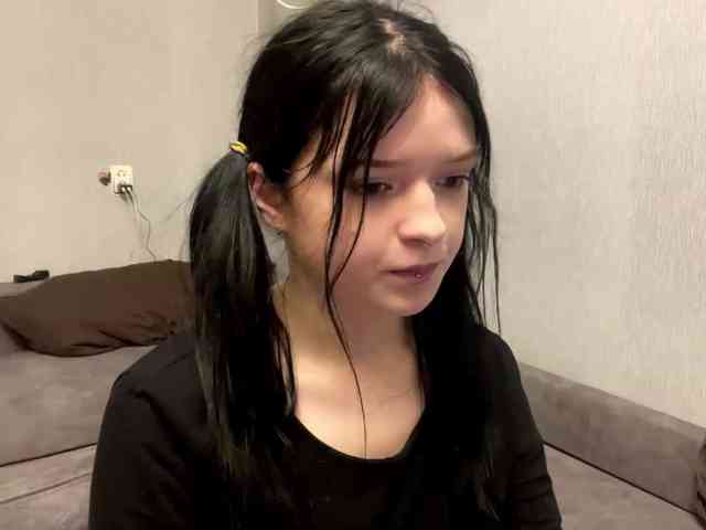 Model: altbarbiesee